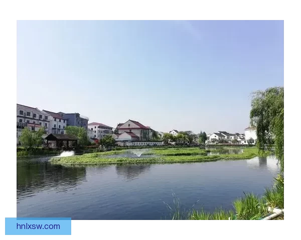 围绕chinese直男飞机18的网络文化现象与青年心态解析